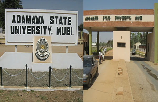 Adamawa State University Mubi