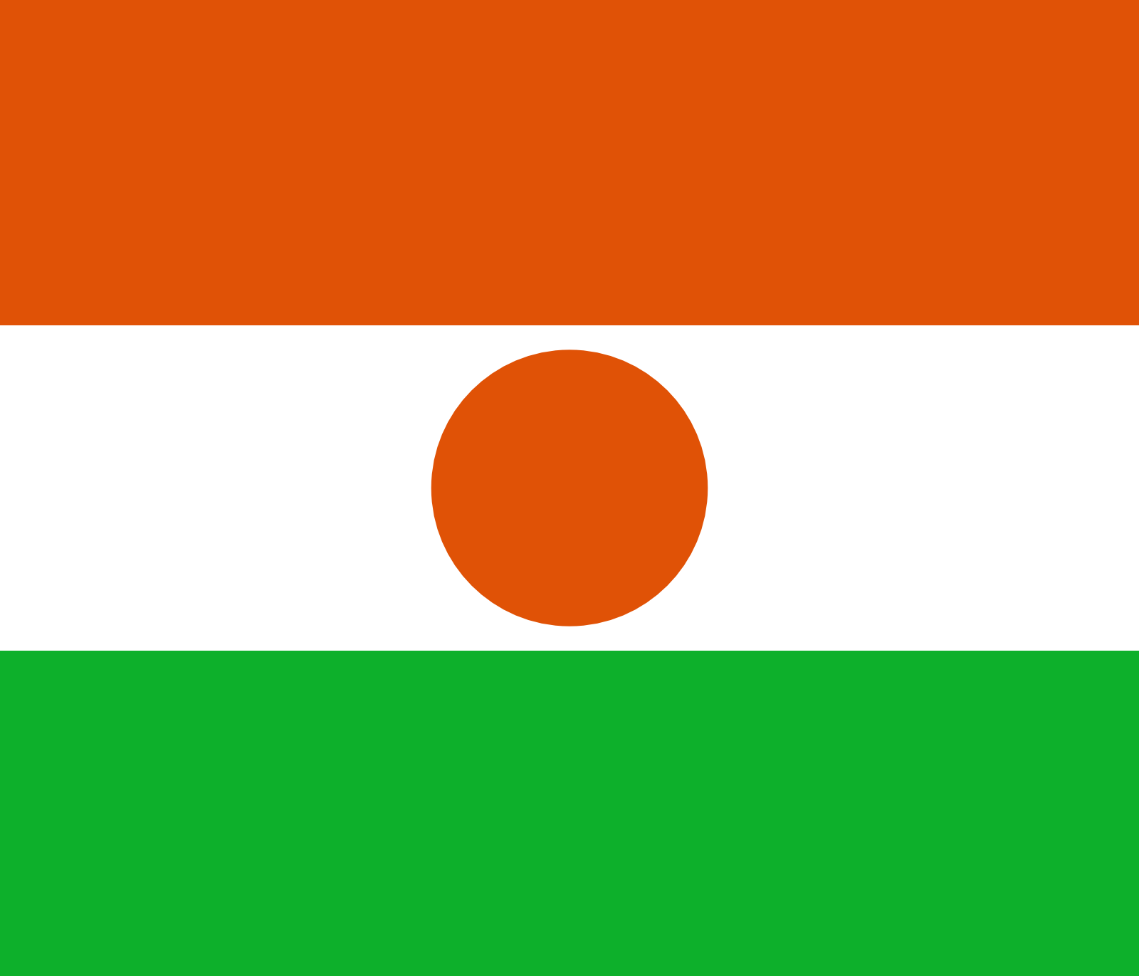 Niger Flag