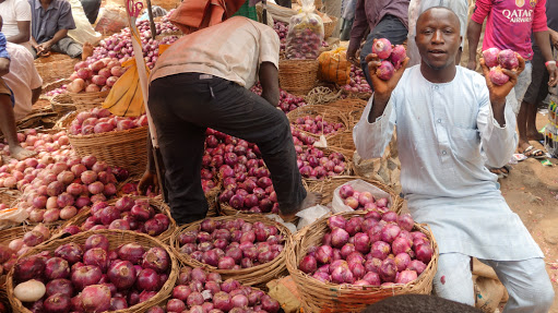 Onion Business Nigeria