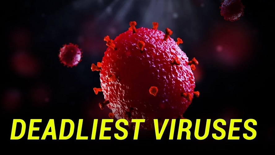 Deadliest Viruses