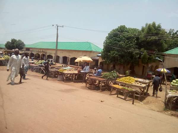 Damboa LGA