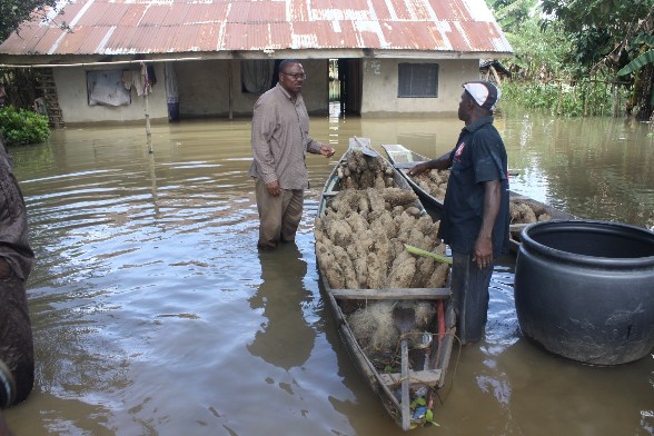 Ogbaru LGA